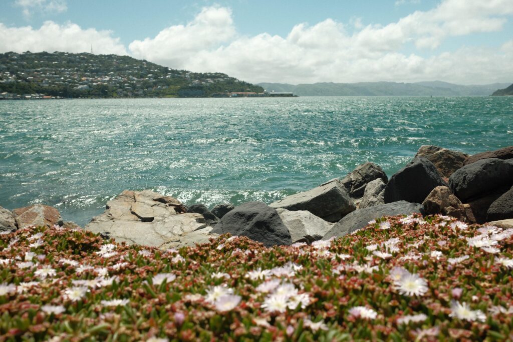 X100VI Review Image of beach 